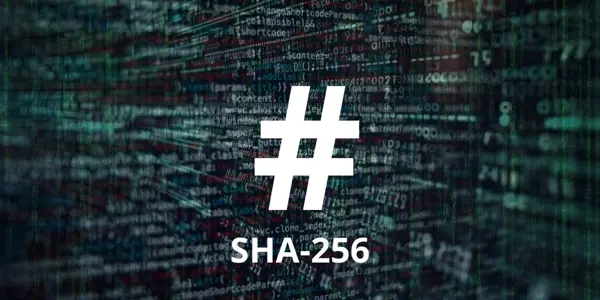 Understanding SHA-256 thumbnail